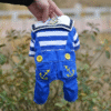Dog Coat Jacket Puppy Pet Clothing For Small Dogs Outfits
